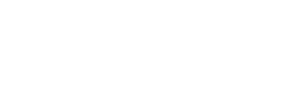 Animatronic Figures
and Shows